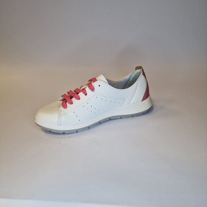 Inblu - Sneakers donna